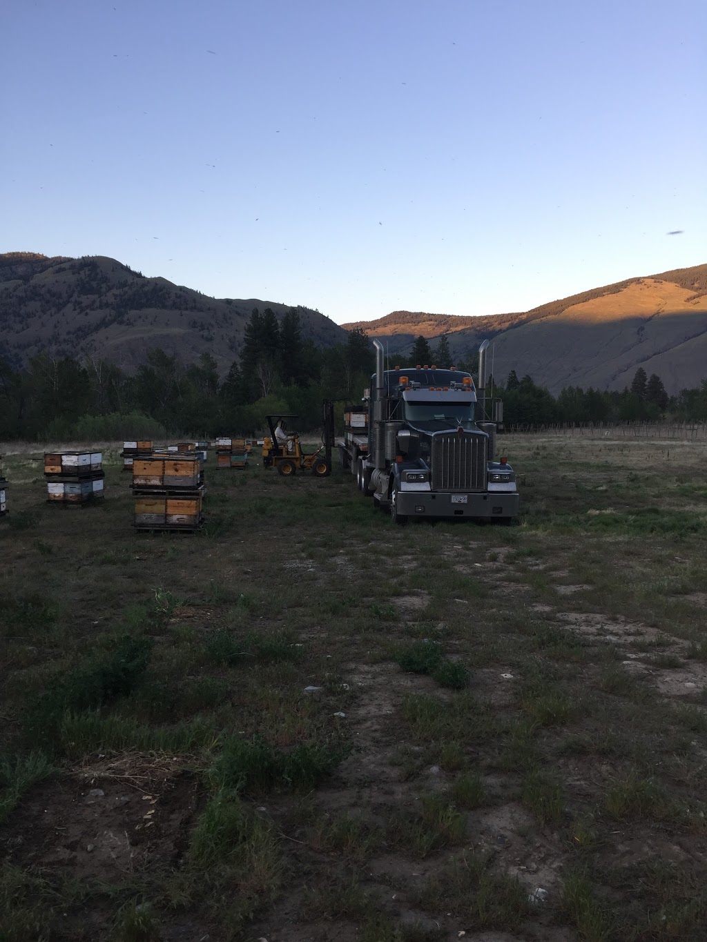 Vesper Transport Ltd | 2064 Main St, Cawston, BC V0X 1C1, Canada | Phone: (250) 499-5773