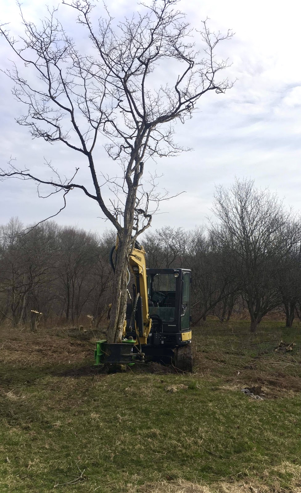 J&J Miller Excavating | 3284 Kimball Rd, Courtright, ON N0N 1H0, Canada | Phone: (519) 328-4197