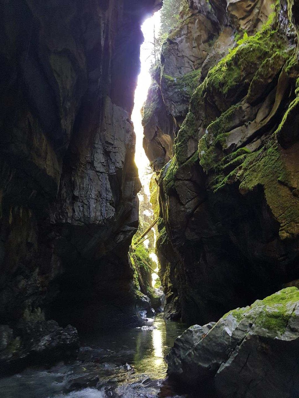 Nitinat River Provincial Park - Alberni-Clayoquot A, BC V0R, Canada