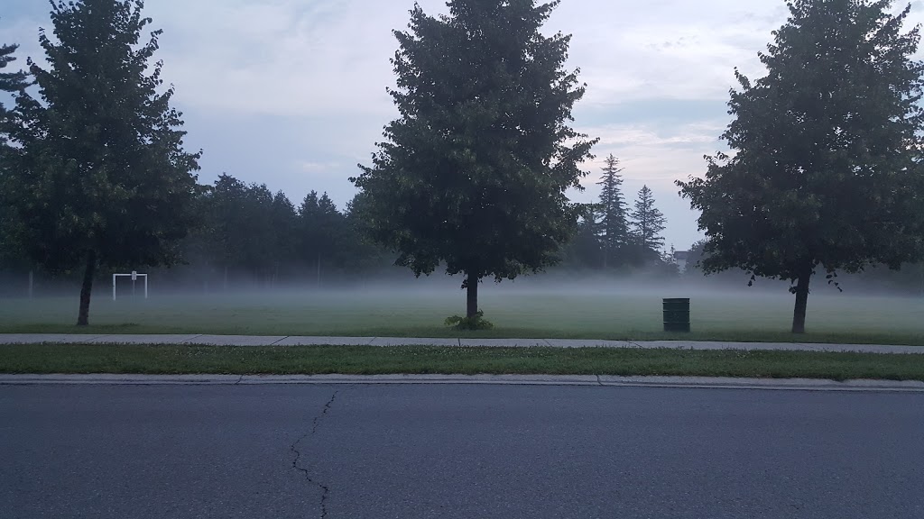 W.C. Bowes Park | 1251 Halton Terrace, Kanata, ON K2W 1E4, Canada | Phone: (613) 580-2424