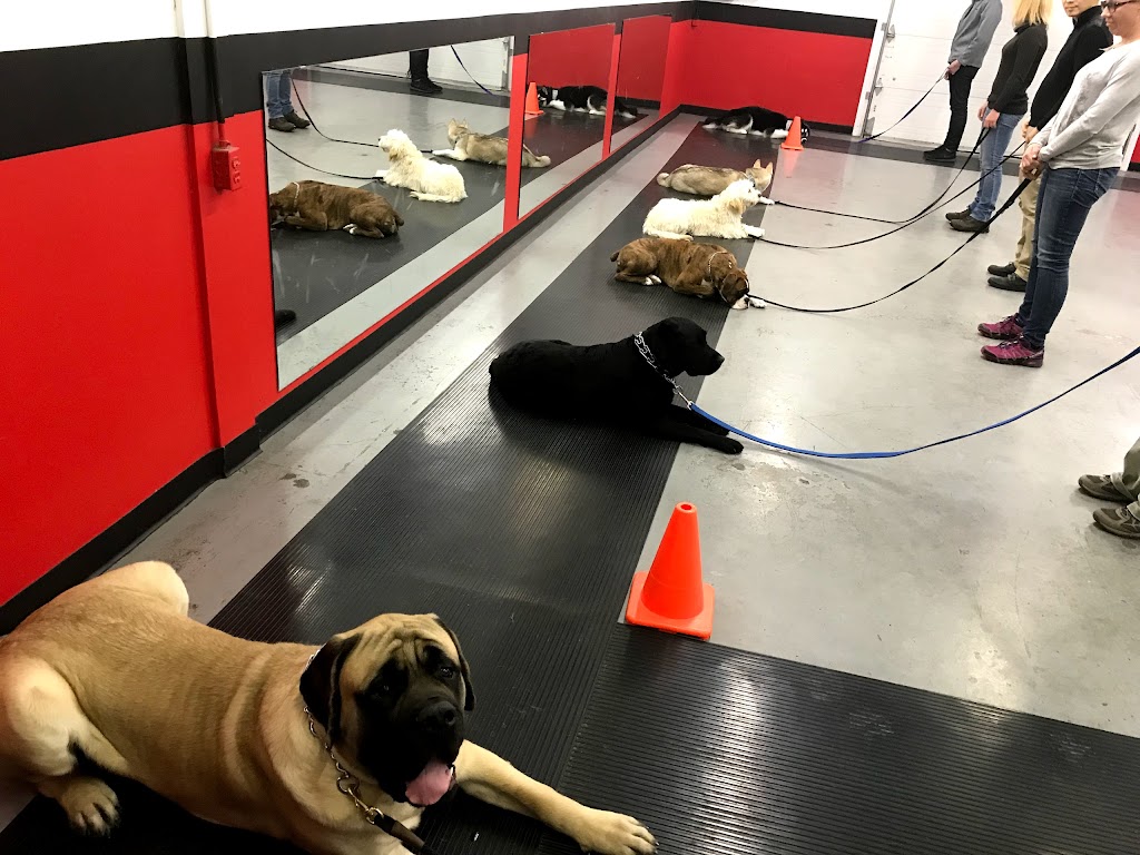 Canadian Canine Training Academy | 108-190 Menten Pl, Nepean, ON K2H 9G3, Canada | Phone: (613) 276-3647