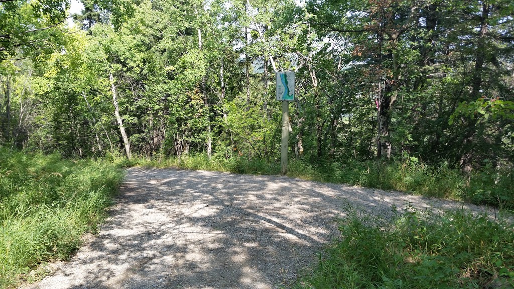 Douglas Fir Trail (east entrance) | branch from Quarry Road off of, Cedar Crescent SW, Calgary, AB T3C 3A6, Canada
