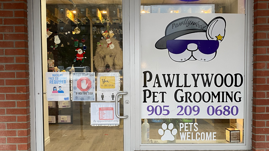 Pawllywood Pet Grooming | 1 Raymerville Dr #3a, Markham, ON L3P 5J5, Canada | Phone: (905) 209-0680