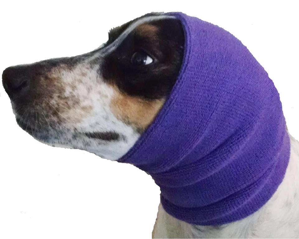 Dogs of Pride | 1596 White Rock Rd, Wolfville, NS B4P 2R1, Canada | Phone: (902) 298-0999