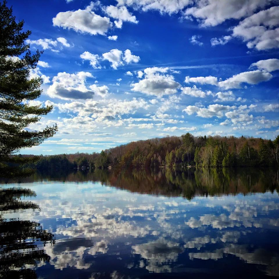 Chandos Lake Property Owners Association | Box 369, Apsley, ON K0L 1A0, Canada | Phone: (705) 656-4843