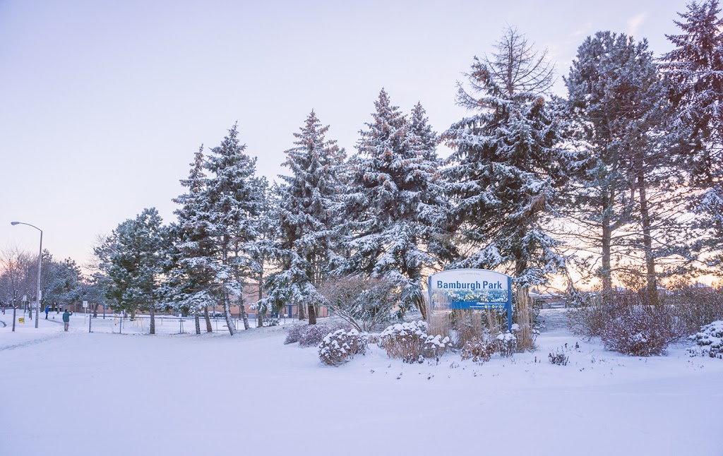 Bamburgh Park | 70 Bamburgh Cir, Scarborough, ON M1W 3R3, Canada | Phone: (416) 338-4386