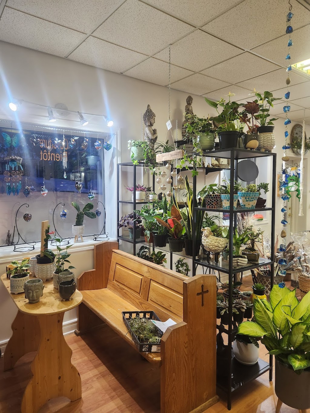 Fleur de Guy | 101 Rue Principale, Saint-André-Avellin, QC J0V 1W0, Canada | Phone: (819) 983-1099