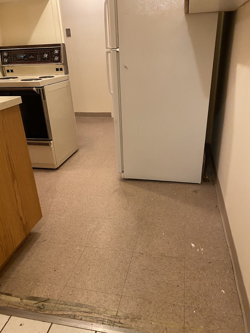 ABC Steam Carpet Cleaning | 23 Eagle Dr, Elmira, ON N3B 3J1, Canada | Phone: (902) 314-9715