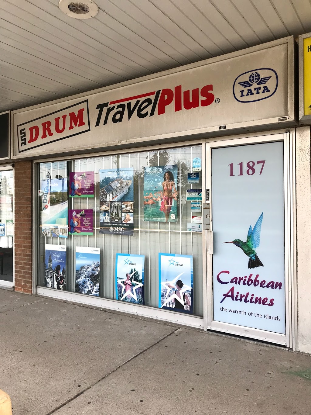 Drum TravelPlus | 1187 Brimley Rd, Scarborough, ON M1P 3G5, Canada | Phone: (416) 438-9770