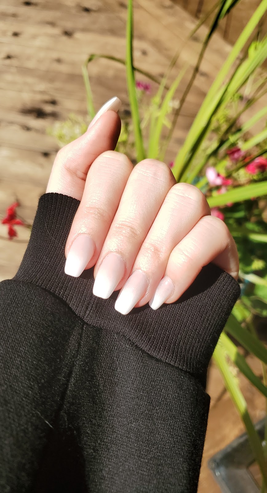 Ongles Pro Arts Fleur de Lys | 552 Bd Wilfrid-Hamel, Québec, QC G1M 3E5, Canada | Phone: (418) 204-7676