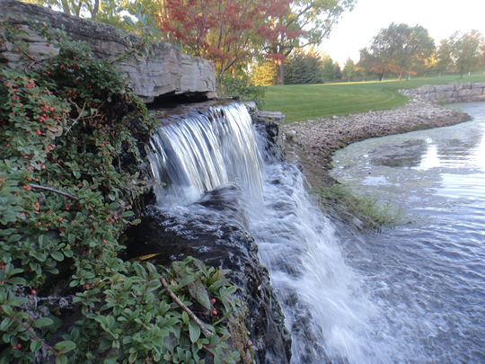 Green Ventures Landscape Care Limited | 75 Howard Pl, Kitchener, ON N2K 2Z4, Canada | Phone: (519) 571-7888