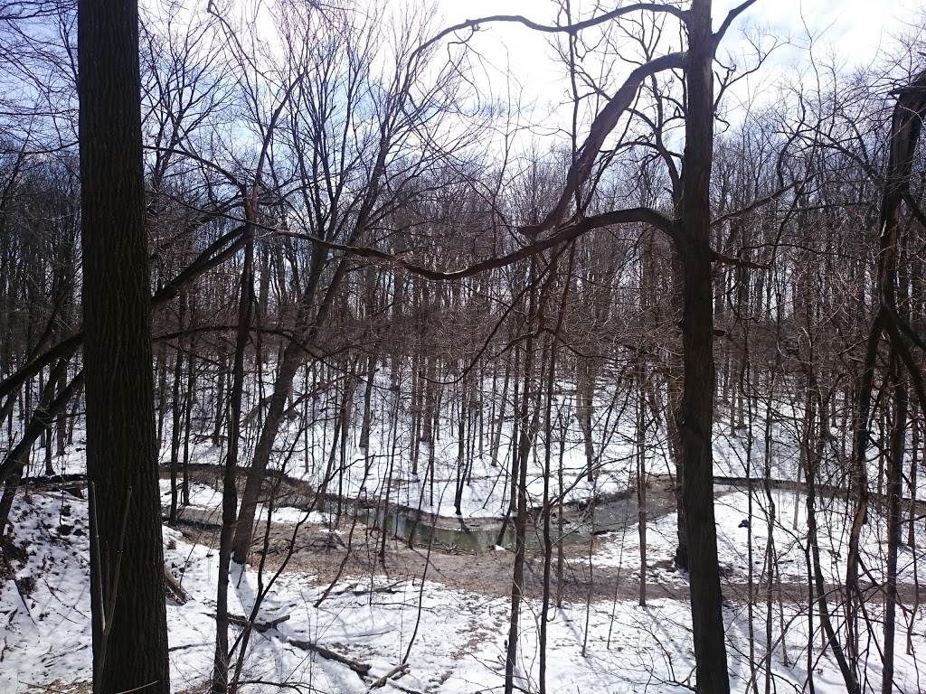 Monarch Woods Park | Highland West, Kitchener, ON N2N, Canada
