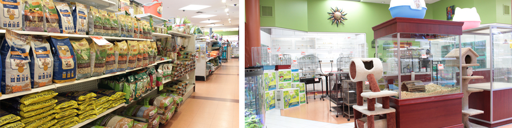 Animonde | 900 Boulevard Grignon, Saint-Jérôme, QC J7Y 3S7, Canada | Phone: (450) 432-4884