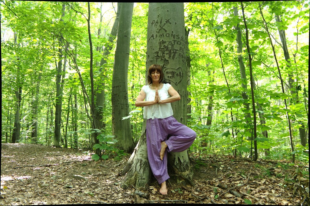 Center Yoga Zen Shiatsu Laval | 4950 Boul Lévesque E, Laval, QC H7C 1N1, Canada | Phone: (450) 664-4315