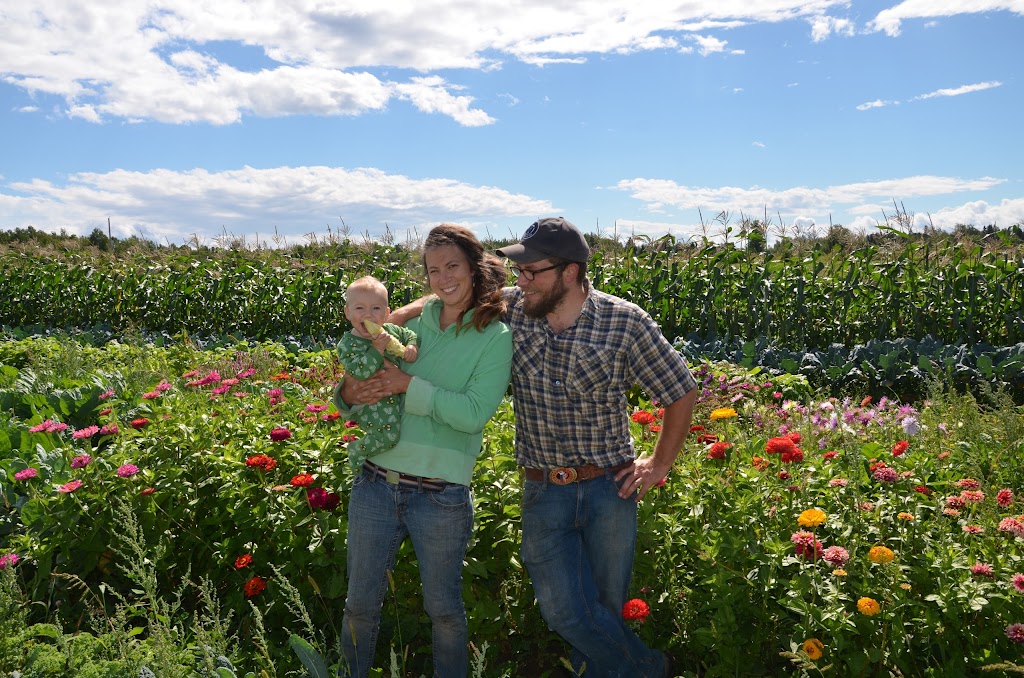 La coopérative Ferme Terre Partagée | 1312 Chem. Pleasant Ridge, Rogersville-Ouest, NB E4Y 1C8, Canada | Phone: (506) 251-8246