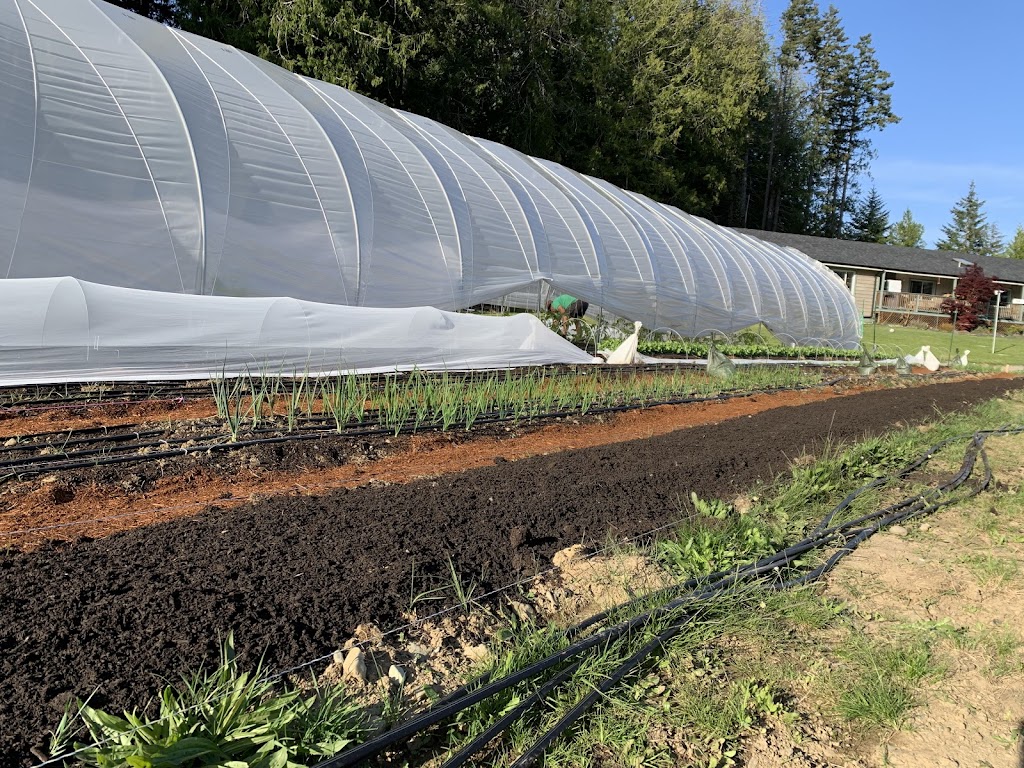 Sayward Haven Farm | 895 Hutchinson Rd, Cobble Hill, BC V0R 1L4, Canada | Phone: (250) 701-6066