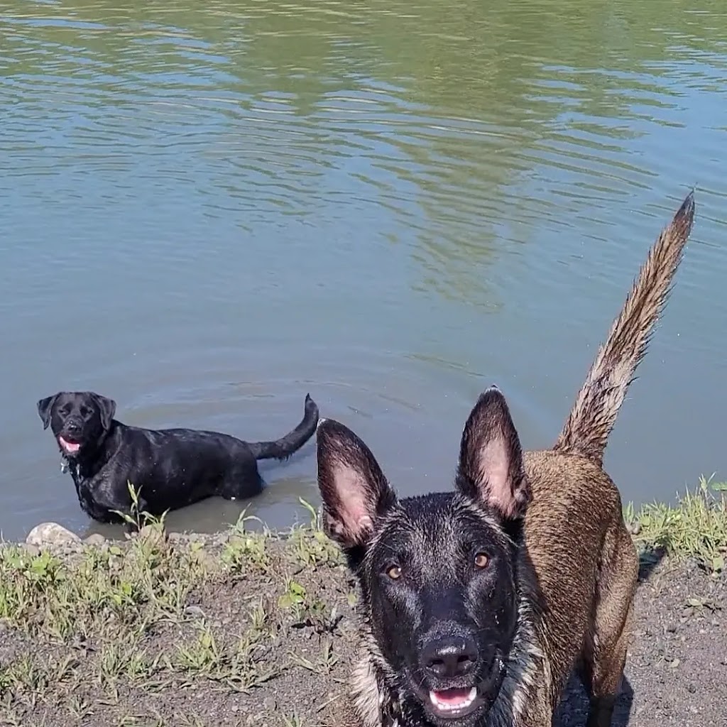 VanYs 4 Paw Paradise | 47 Rang de la Rivière-Noire S, Saint-Chrysostome, QC J0S 1R0, Canada | Phone: (438) 483-4559