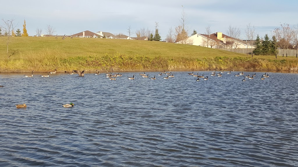 Kirkbridge Park | 119 Kirkbridge Dr, Winnipeg, MB R3T 5K2, Canada | Phone: (877) 311-4974