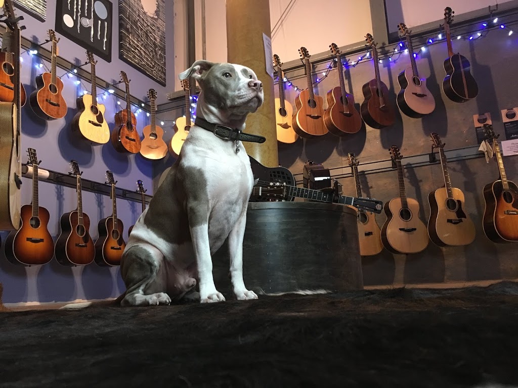 Bluedog Guitars | 60 Orwell St #121, North Vancouver, BC V7J 3R5, Canada | Phone: (604) 971-2893