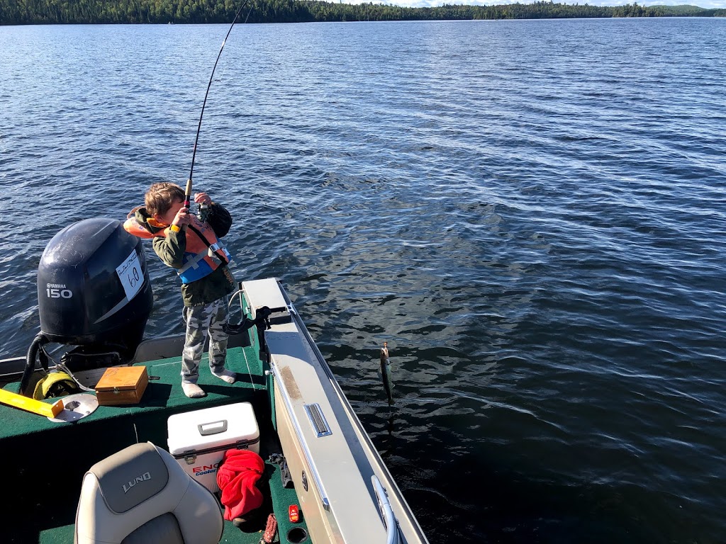 Larrys Baits | 4795 HWY 11-17, Kakabeka Falls, ON P0T 1W0, Canada | Phone: (807) 473-9321