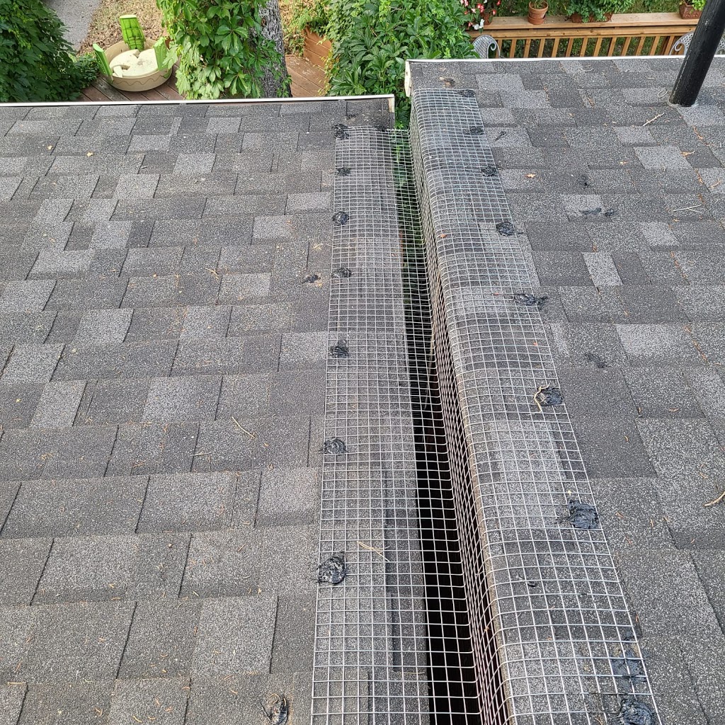 Craig Wildlife Control | 69 Lake Shore Dr #3, Etobicoke, ON M8V 1Z5, Canada | Phone: (416) 574-6356
