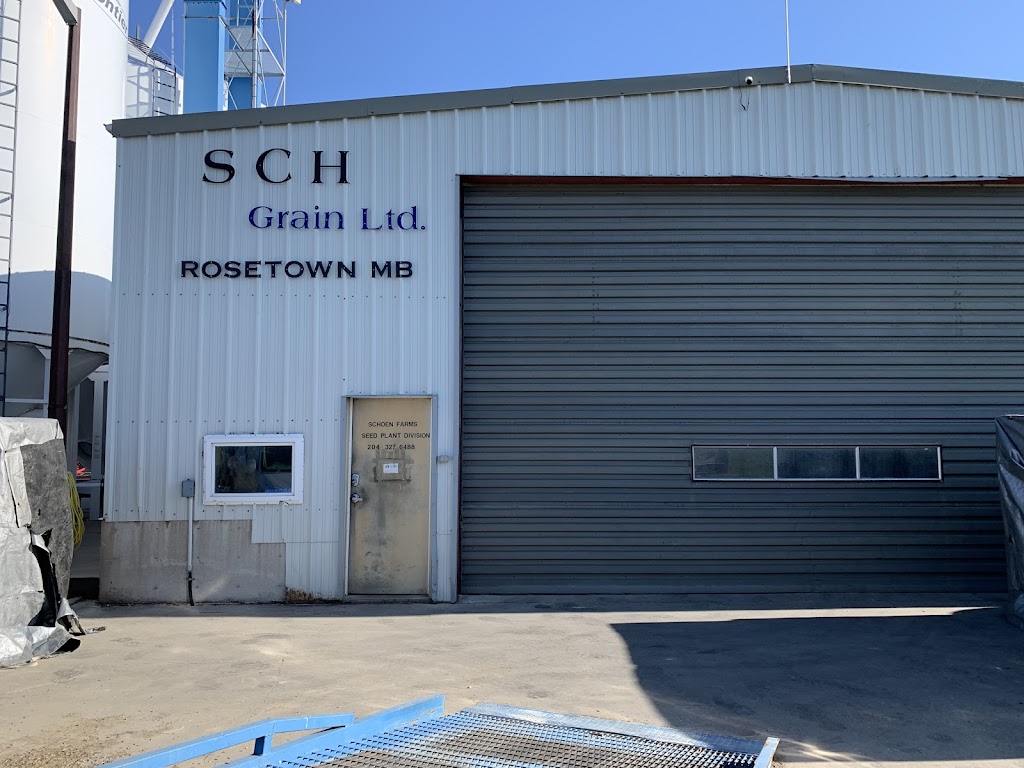 SCH Grain LTD | Rd 3 N W #12101, Rosetown, MB R0G 0V0, Canada | Phone: (204) 542-0900