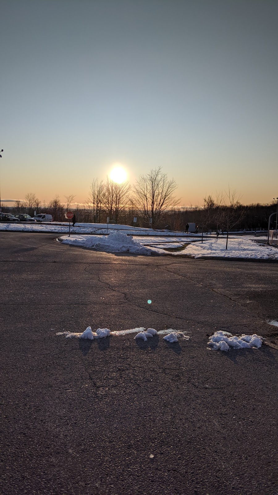 Fleming College | Fleming College Way, Peterborough, ON K9K 2N7, Canada | Phone: (705) 749-5520
