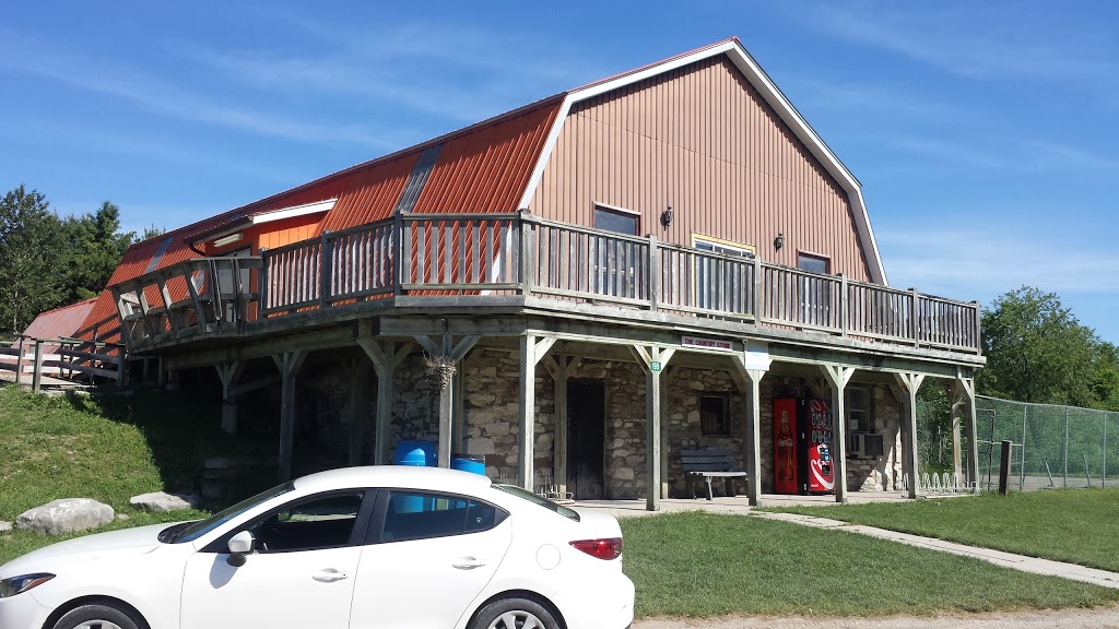 Log Chateau Park | 1691 Kawartha Lakes County Rd 121, Fenelon Falls, ON K0M 1N0, Canada | Phone: (705) 887-3960