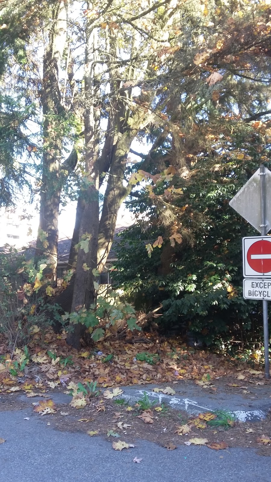 Clinton Park | 2nd St, New Westminster, BC V3L 1J6, Canada | Phone: (604) 521-3711