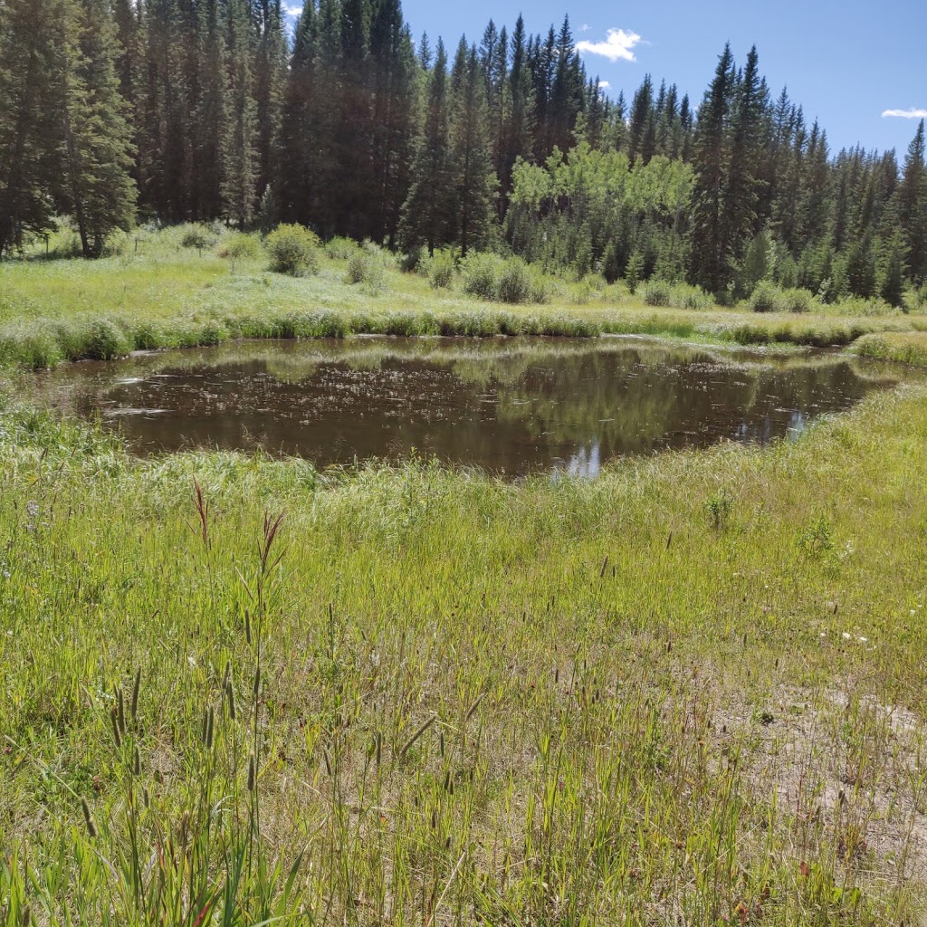 Bar KC Ranch | Bragg Creek, AB T0L 0K0, Canada | Phone: (403) 949-3833