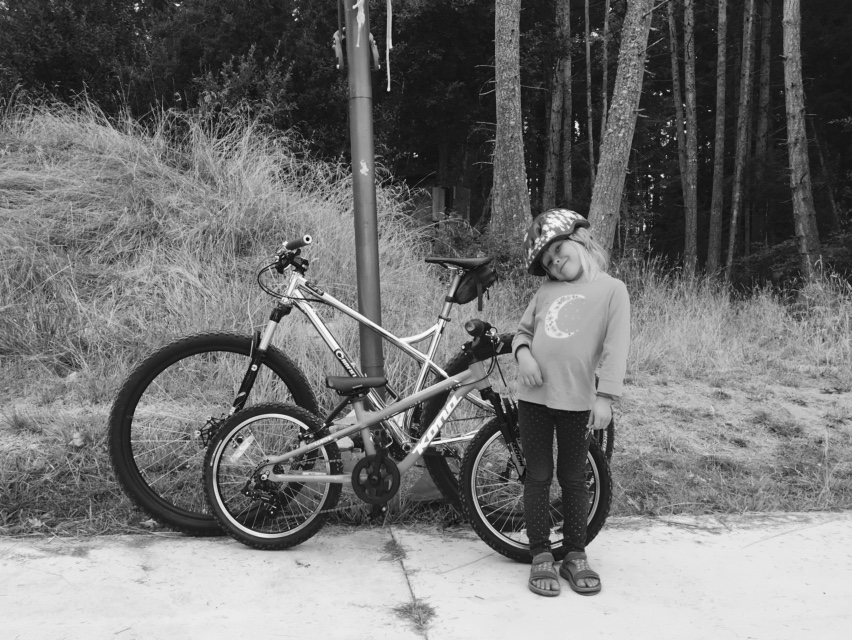 Village Cycles | 214 Lopez Rd, Lopez Island, WA 98261, USA | Phone: (360) 468-4013