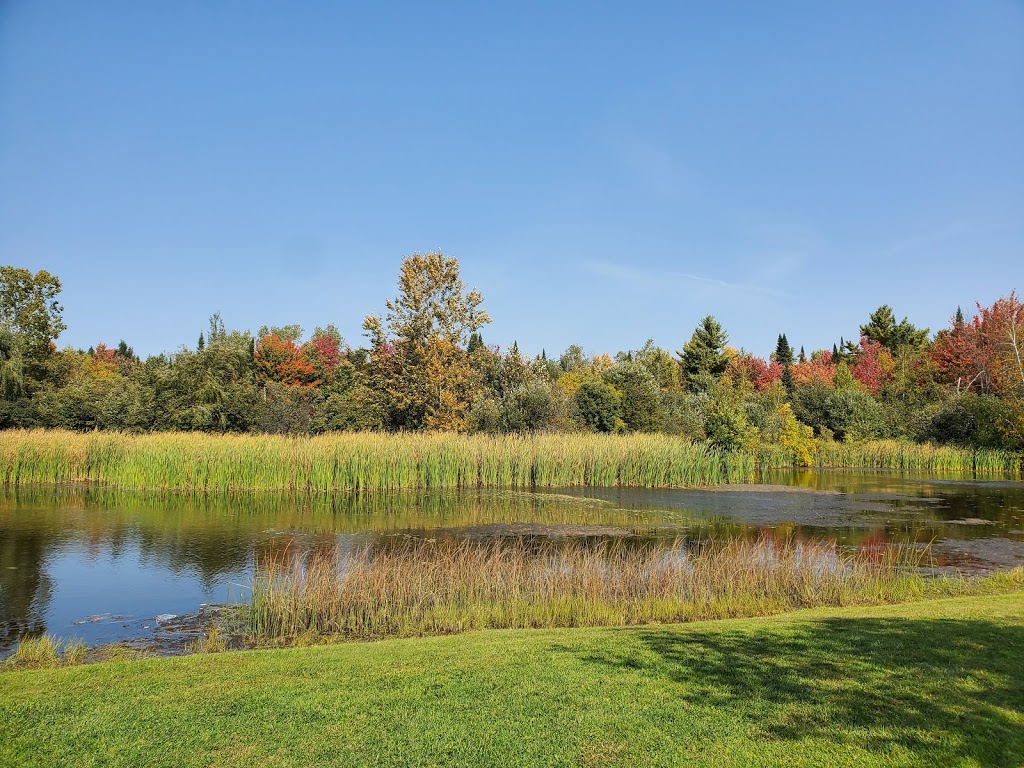 Camping Vallée Bleue | 50 Rue Haman, West Brome, QC J0E 2P0, Canada | Phone: (450) 263-4804