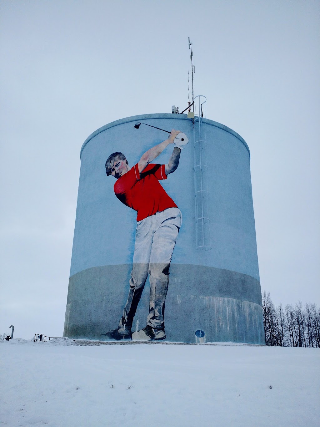 Didsbury Golf Club | 2302 20 Ave, Didsbury, AB T0M 0W0, Canada | Phone: (403) 335-3635