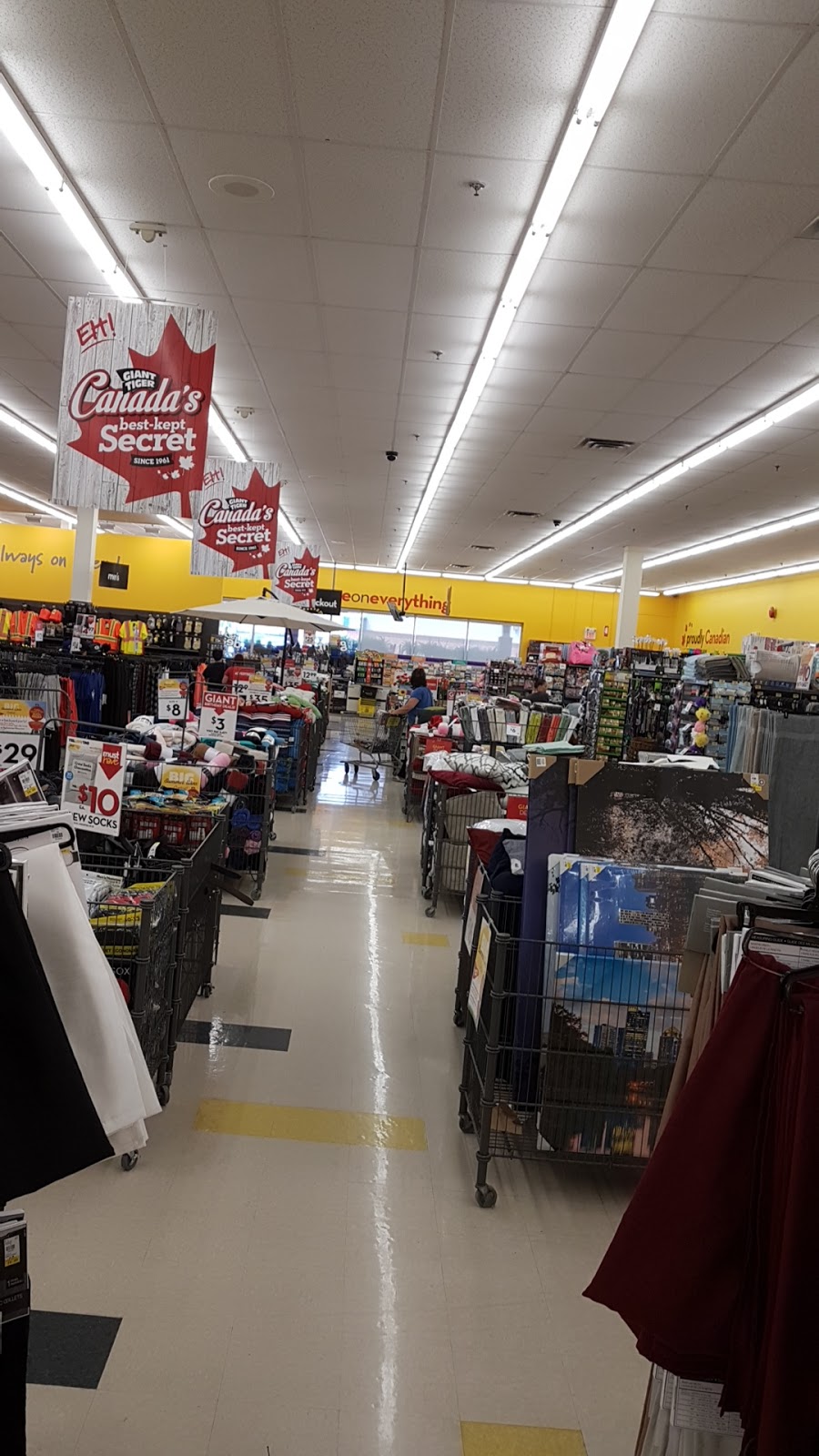 Giant Tiger | 930 Dundas St, Woodstock, ON N4S 8X6, Canada | Phone: (519) 539-8701