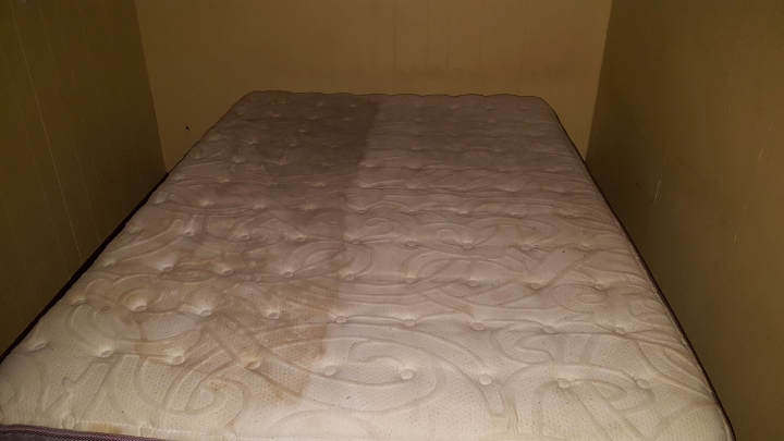 Revolution Carpet Care | 2735 215 St, Bellevue, AB T0K 0C0, Canada | Phone: (403) 562-7072