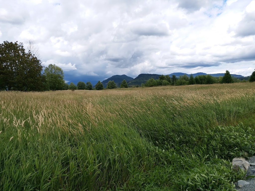 Bird Sanctuary | 34350 Bateman Rd, Abbotsford, BC V2S 7Y8, Canada | Phone: (778) 344-3105