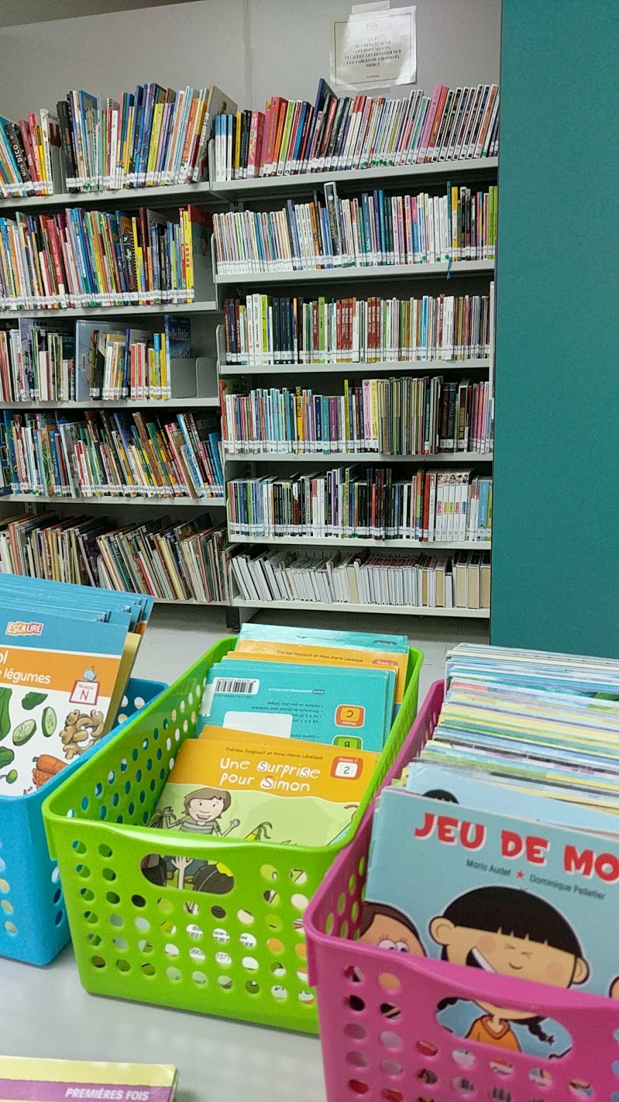 Bibliothèque Croque-Volumes | 1325 Rue de Saint-Denis, Saint-Rédempteur, QC G6K 1N1, Canada | Phone: (418) 831-4811