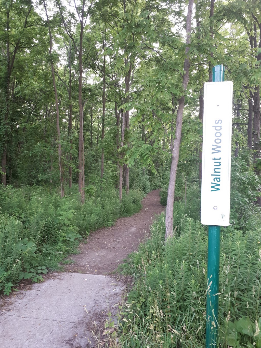 Walnut Woods Trail | 1830 Kyle Ct, London, ON N6G 0A6, Canada