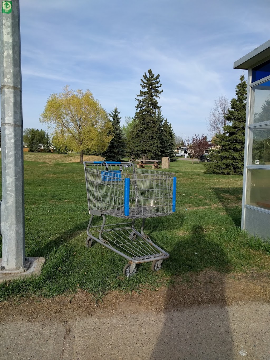 Charles Anderson Park | 3803 105 St, Edmonton, AB T6J 2K6, Canada