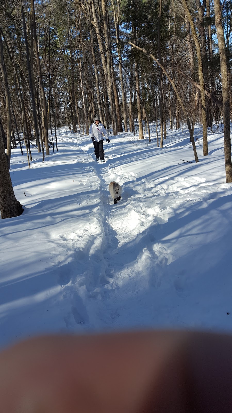 NCC Greenbelt P12 | Cedarview Rd, Ottawa, ON K2H 5S3, Canada