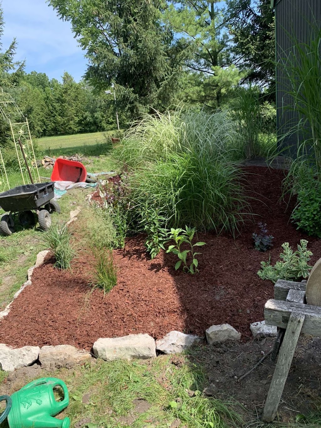 Booms Lawncare | 6485 Brigden Rd, Brights Grove, ON N0N 1C0, Canada | Phone: (519) 331-3706