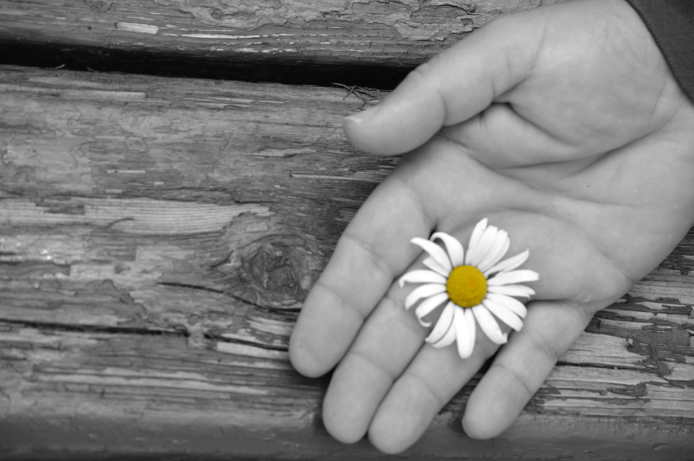 Resilience Counselling & Wellness | 26 Cedar St, Maitland, ON K0E 1P0, Canada | Phone: (613) 213-4116