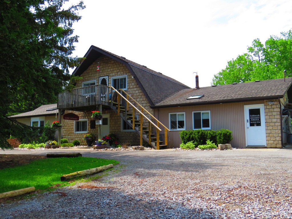 Goldenvale Veterinary Hospital & Kennels | 2866 Davis Dr, East Gwillimbury, ON L9N 0L3, Canada | Phone: (905) 895-2278