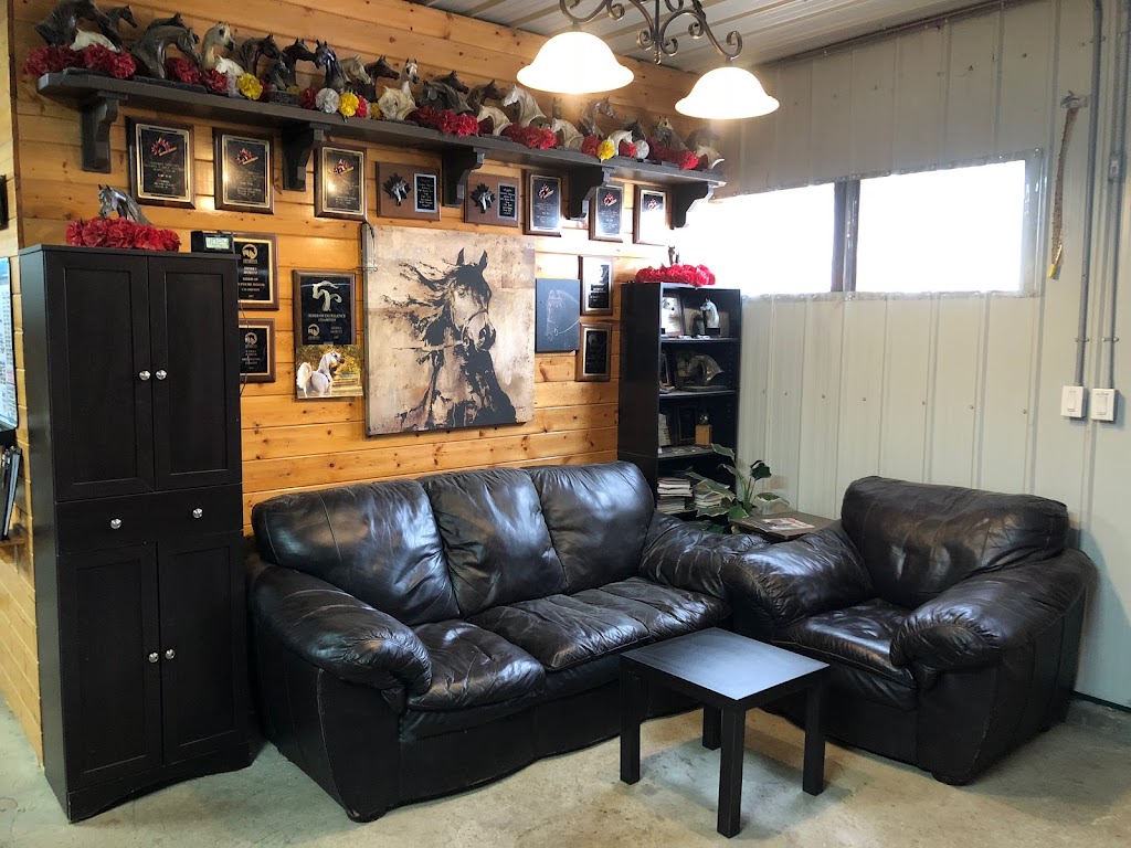 Steel Creek Equestrian | 39RM+CP, Millet, AB T0C 1Z0, Canada | Phone: (780) 542-1236
