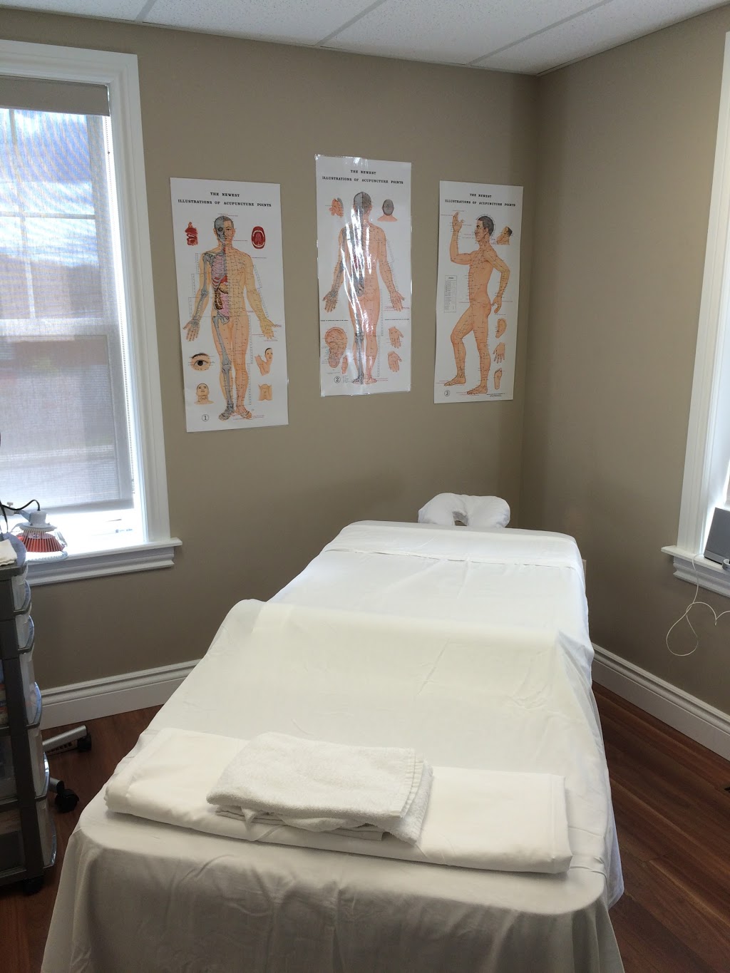 Sandra Mauro Registered Acupuncturist | 271 Sackville Dr, Lower Sackville, NS B2C 2R5, Canada | Phone: (902) 865-8500