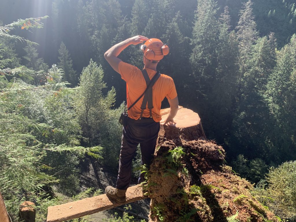 Horizon Tree Services | 10345 Wedgewood Dr, Chilliwack, BC V2P 6C1, Canada | Phone: (604) 791-2021
