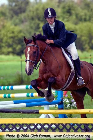 Grand Prix Breeders & Equestrian Centre | 7261 Third Line Rd S, Kars, ON K0A 2E0, Canada | Phone: (613) 489-1948