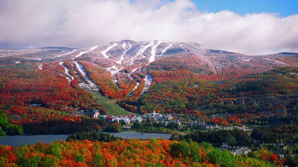 Robert Laporte Courtier Immobilier Real Estate Agent | 2823 Chemin du Village, Mont-Tremblant, QC J8E 1E9, Canada | Phone: (819) 429-9009