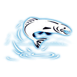 Coast Sportfish | 891 Island Hwy W #202, Parksville, BC V9P 2E9, Canada | Phone: (250) 586-6622