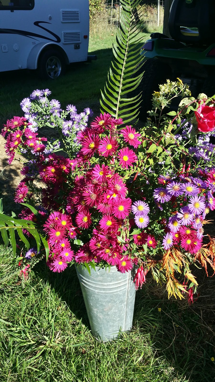 Judy Weeden Studio | 125 Primrose Ln, Salt Spring Island, BC V8K 1C1, Canada | Phone: (250) 537-5403